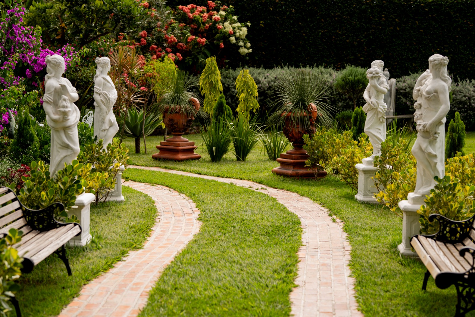 Jardim de inverno para foto