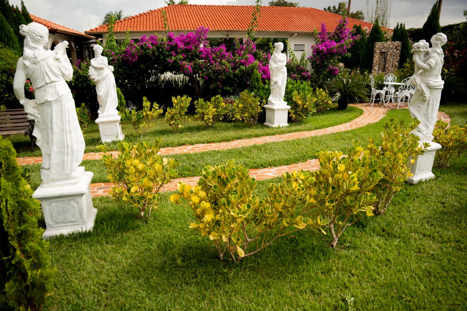 Jardim de inverno para foto