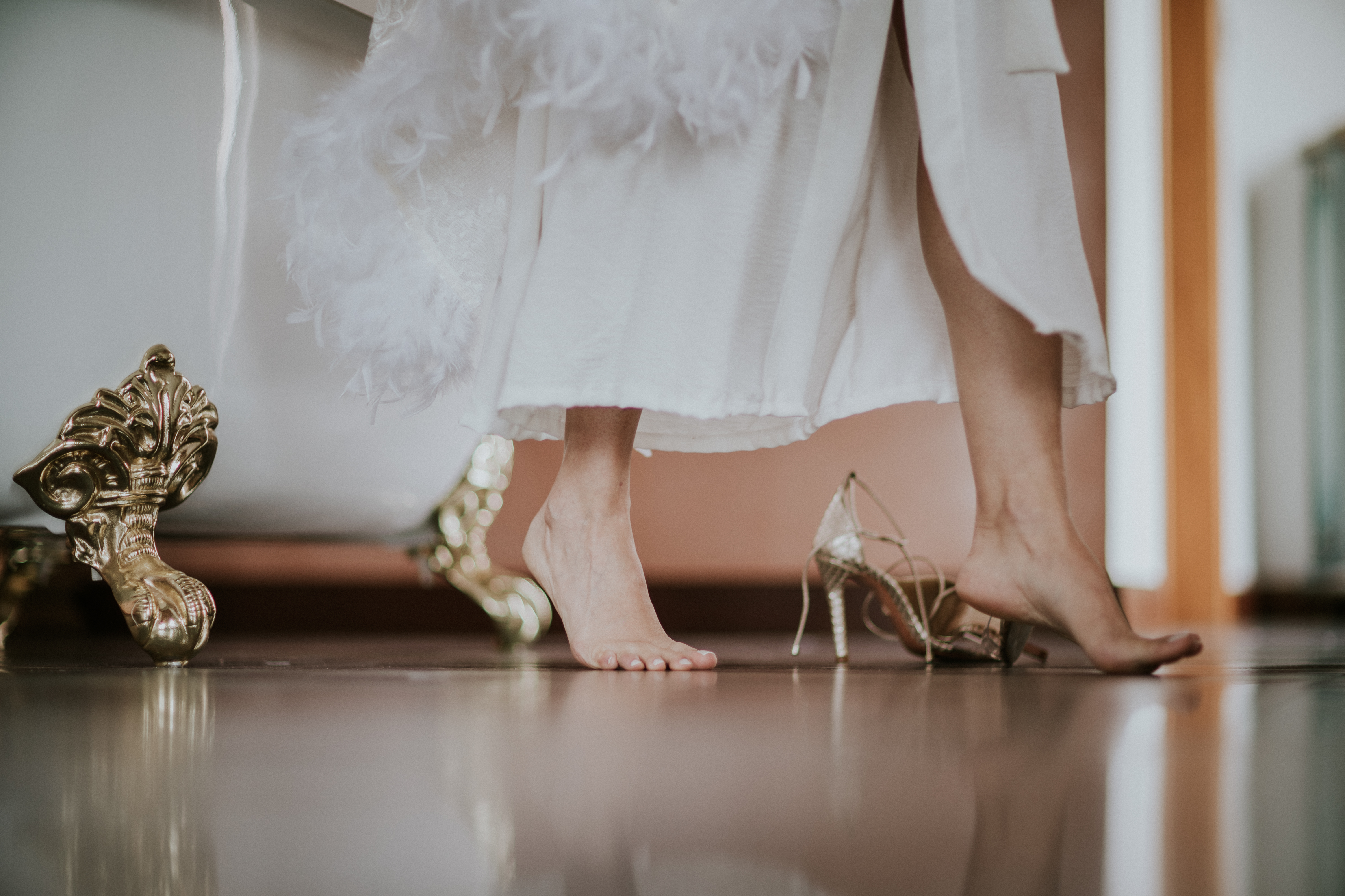 Cenário fotográfico coerente e elegante